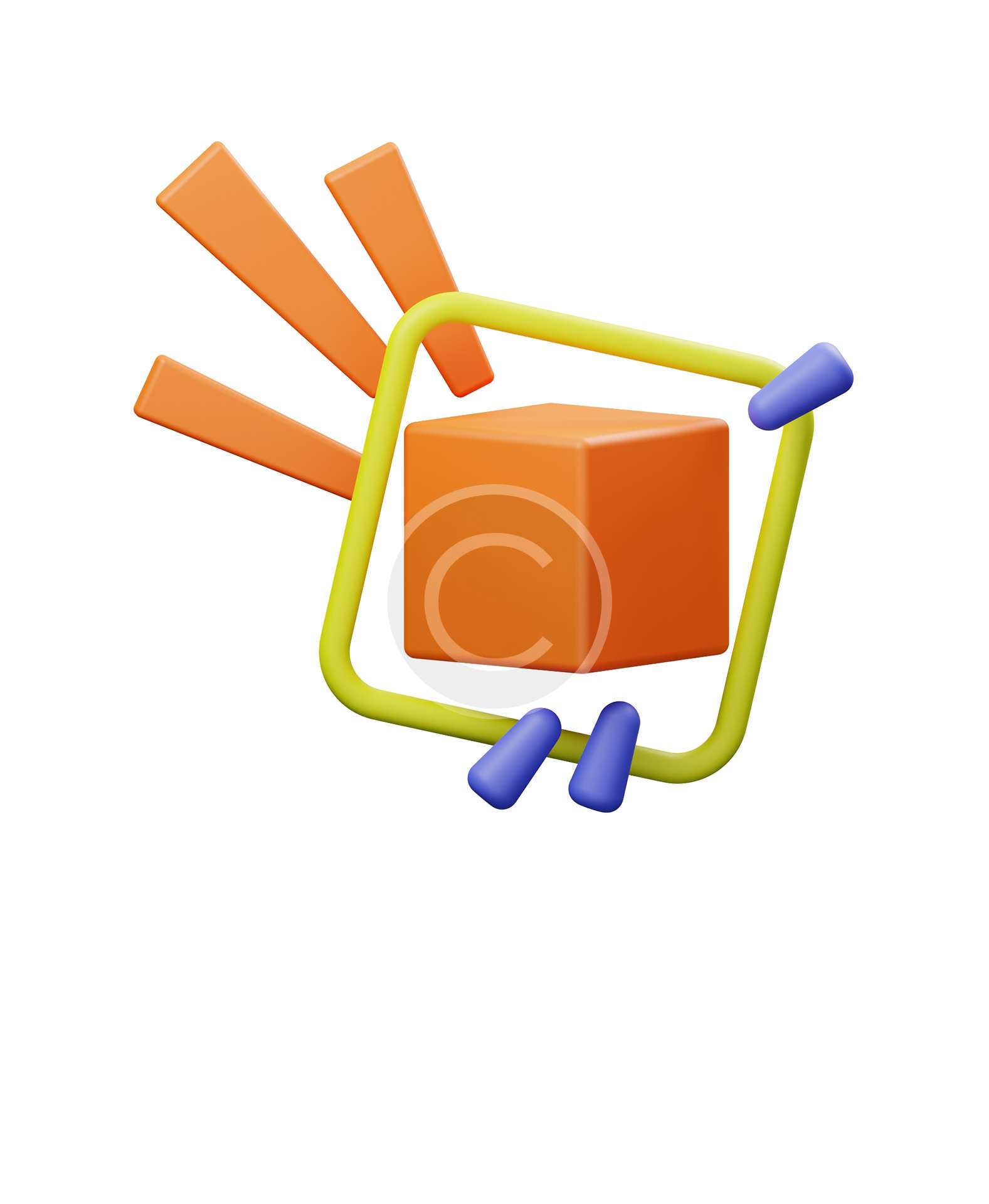 Customised Systems Development